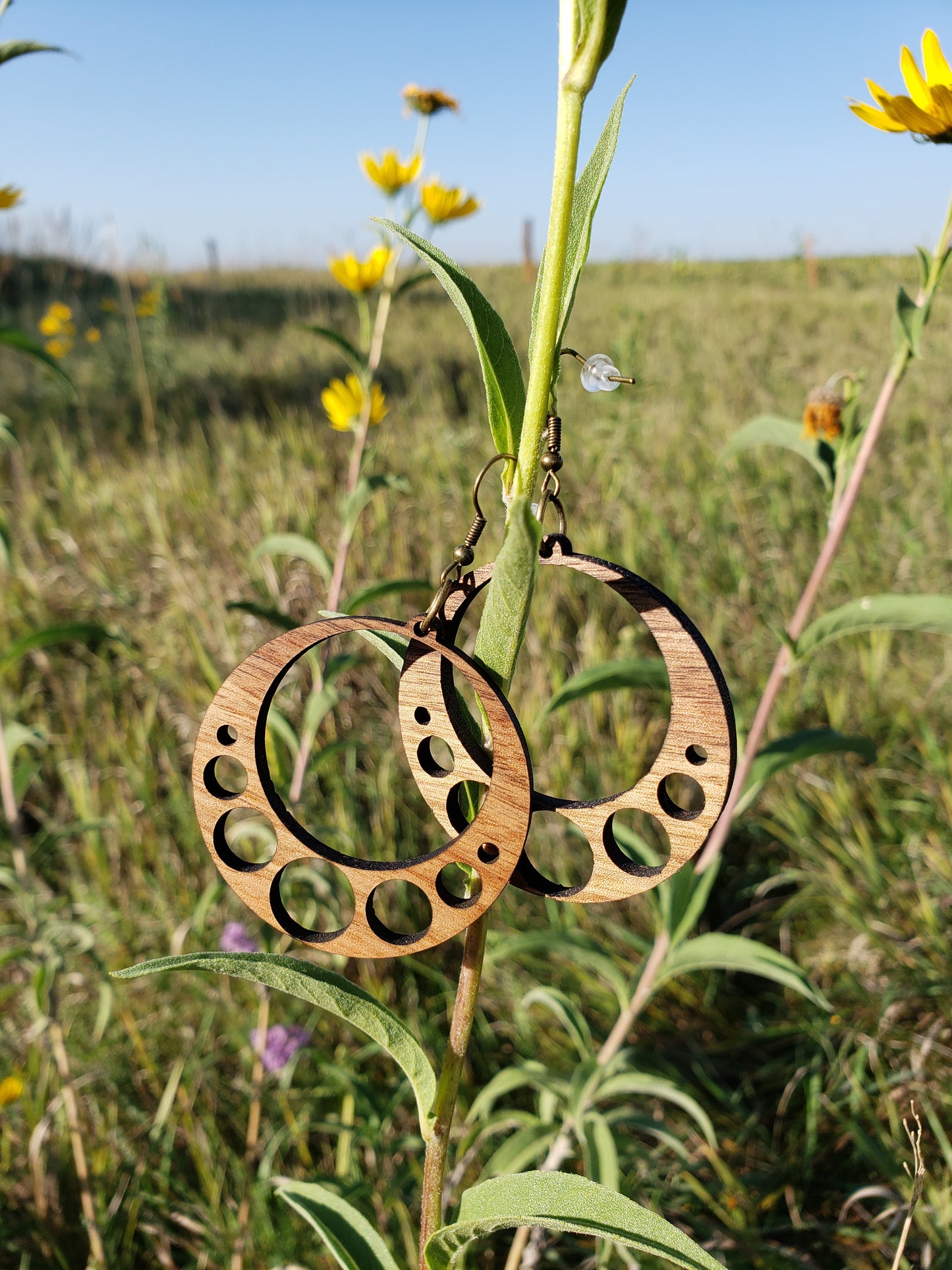 Circles Wooden Earrings