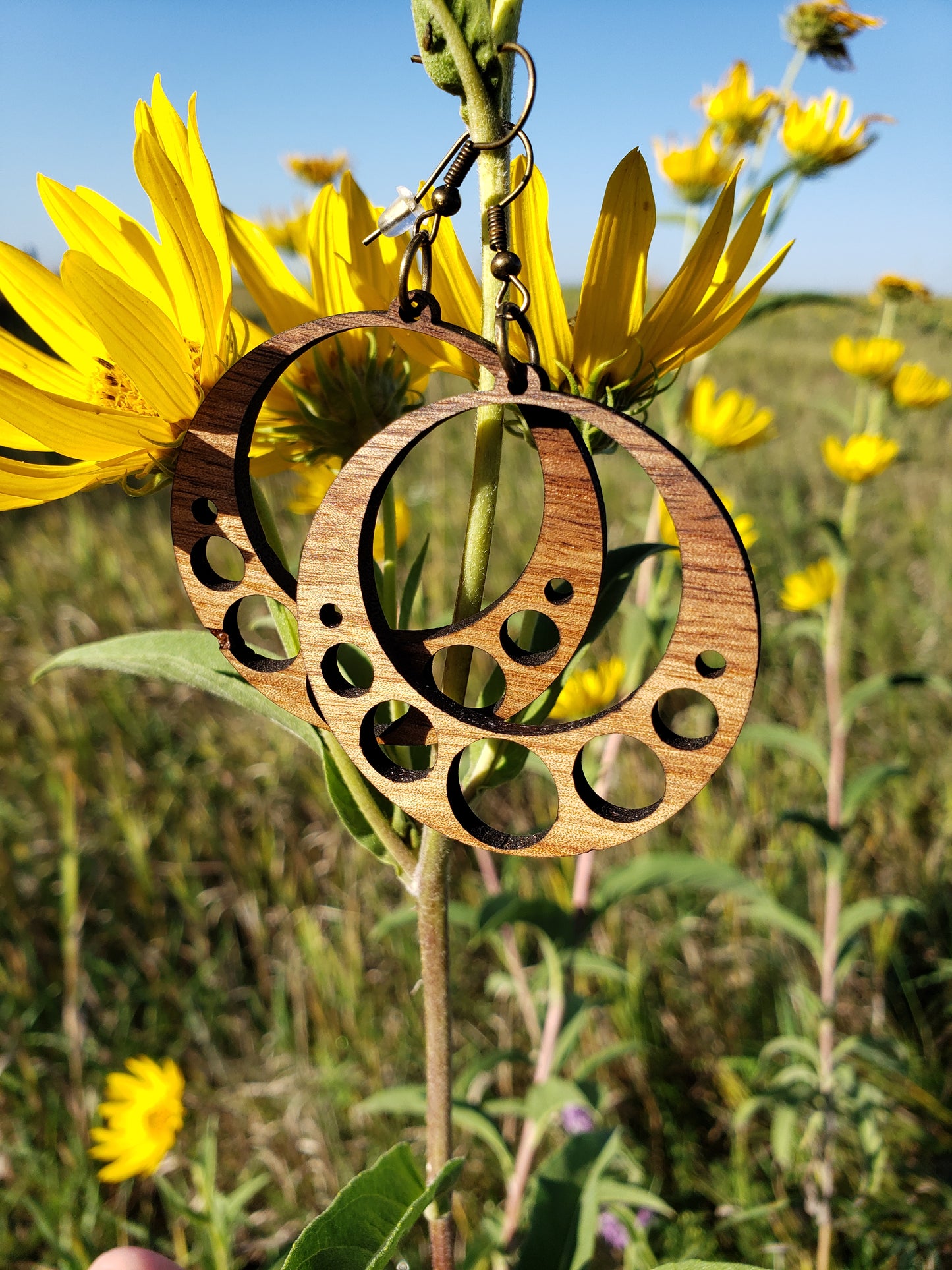 Circles Wooden Earrings