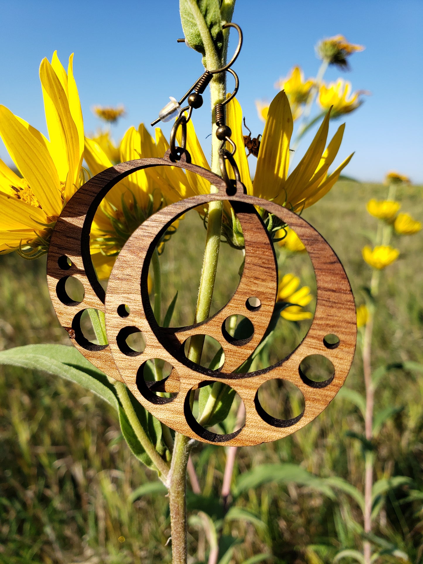 Circles Wooden Earrings