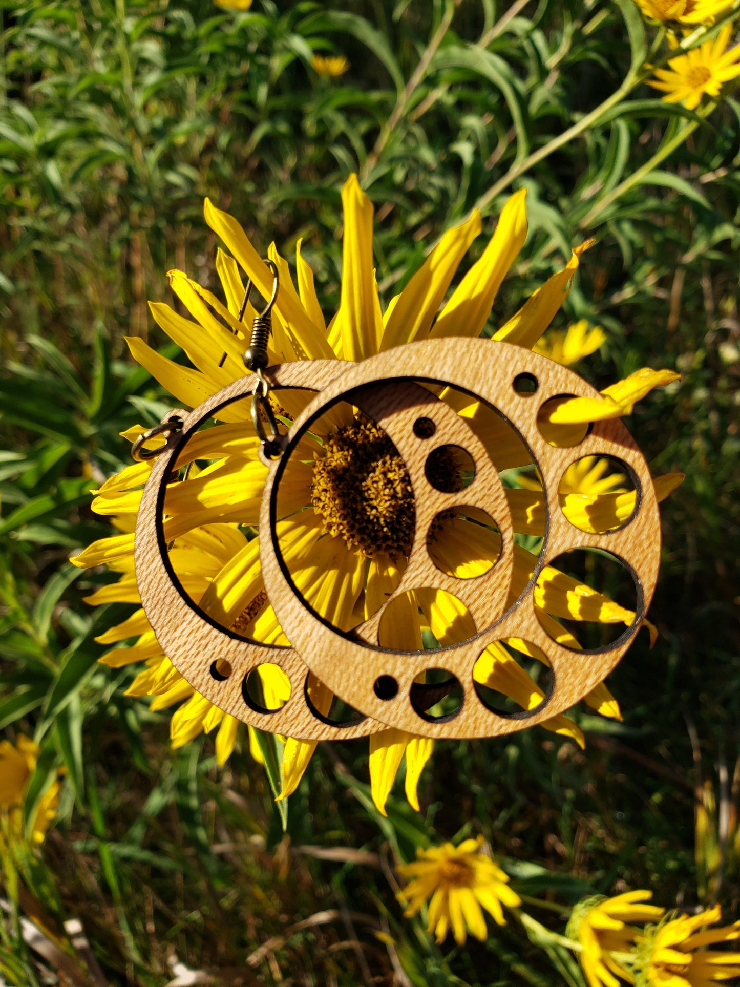 Circles Wooden Earrings
