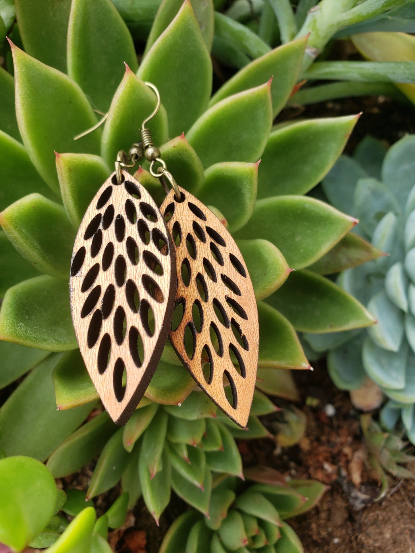 Graphic Leaf Wooden Earrings