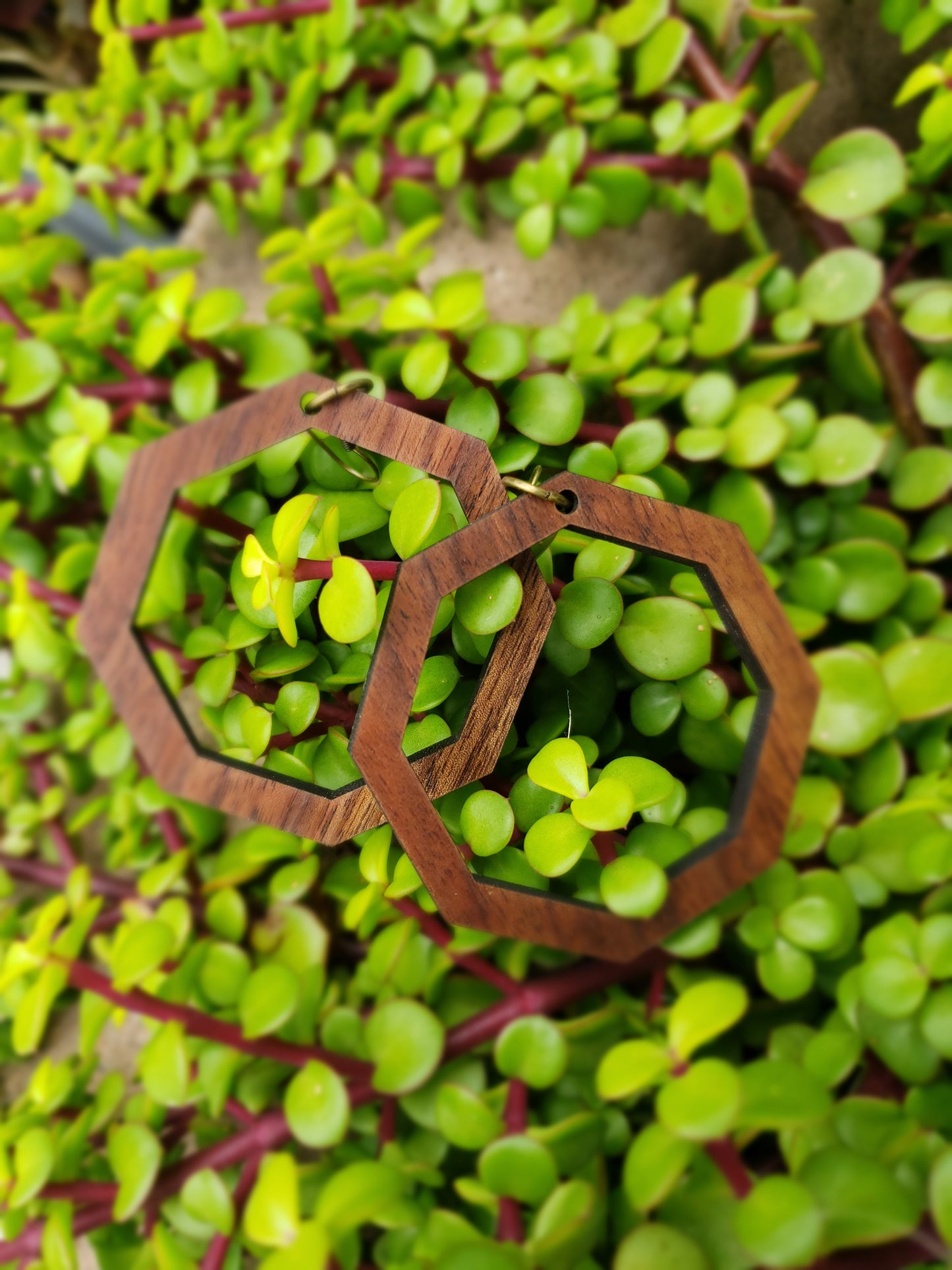 Octagon Large Wooden Earrings