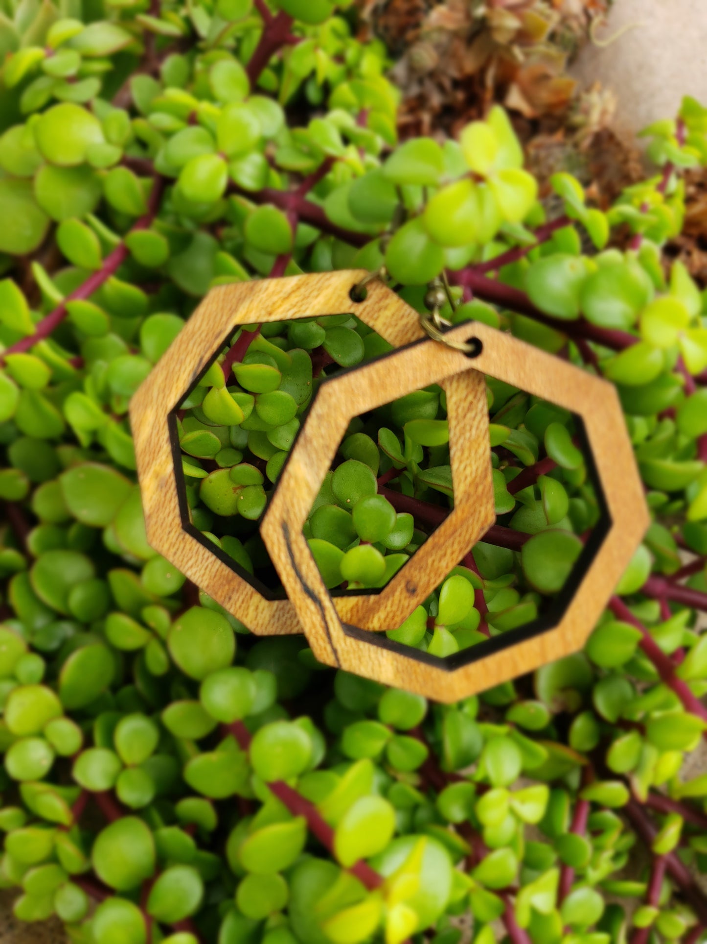 Octagon Large Wooden Earrings