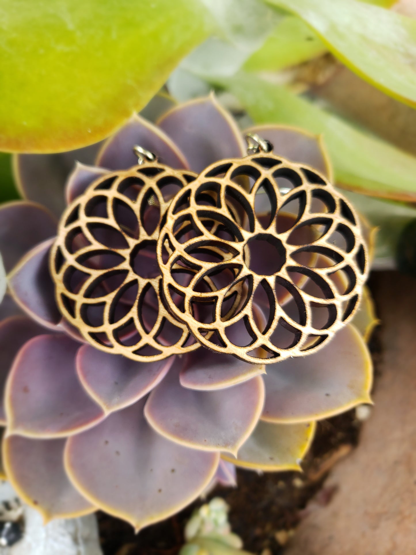 Pizelle Wooden Earrings