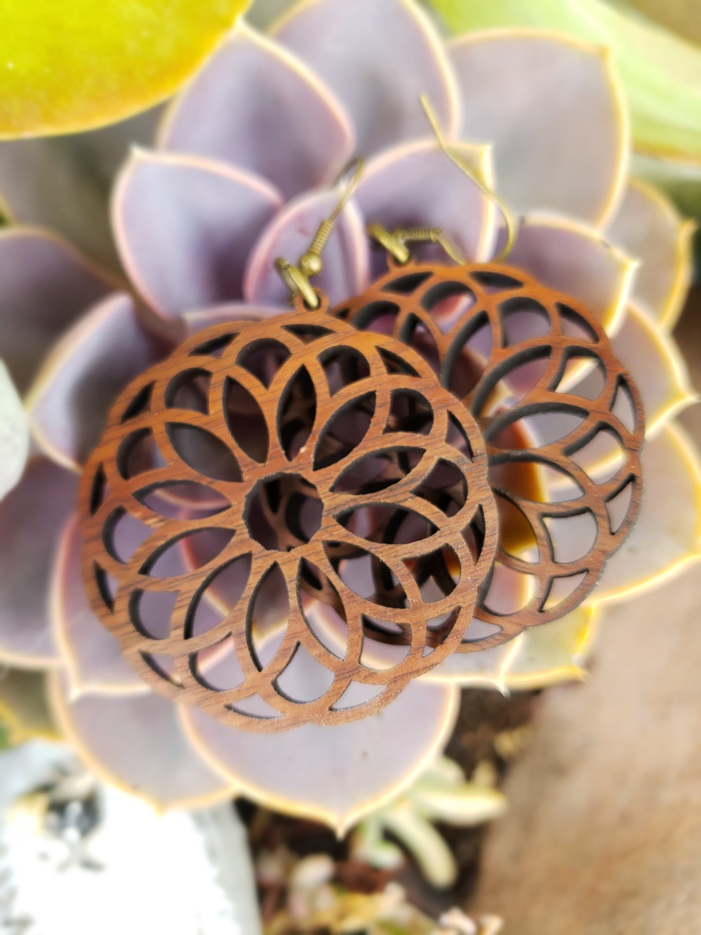 Pizelle Wooden Earrings