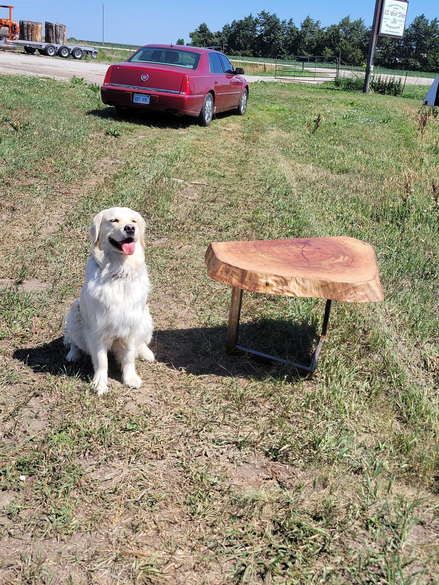 Caramel Delight Cookie Table