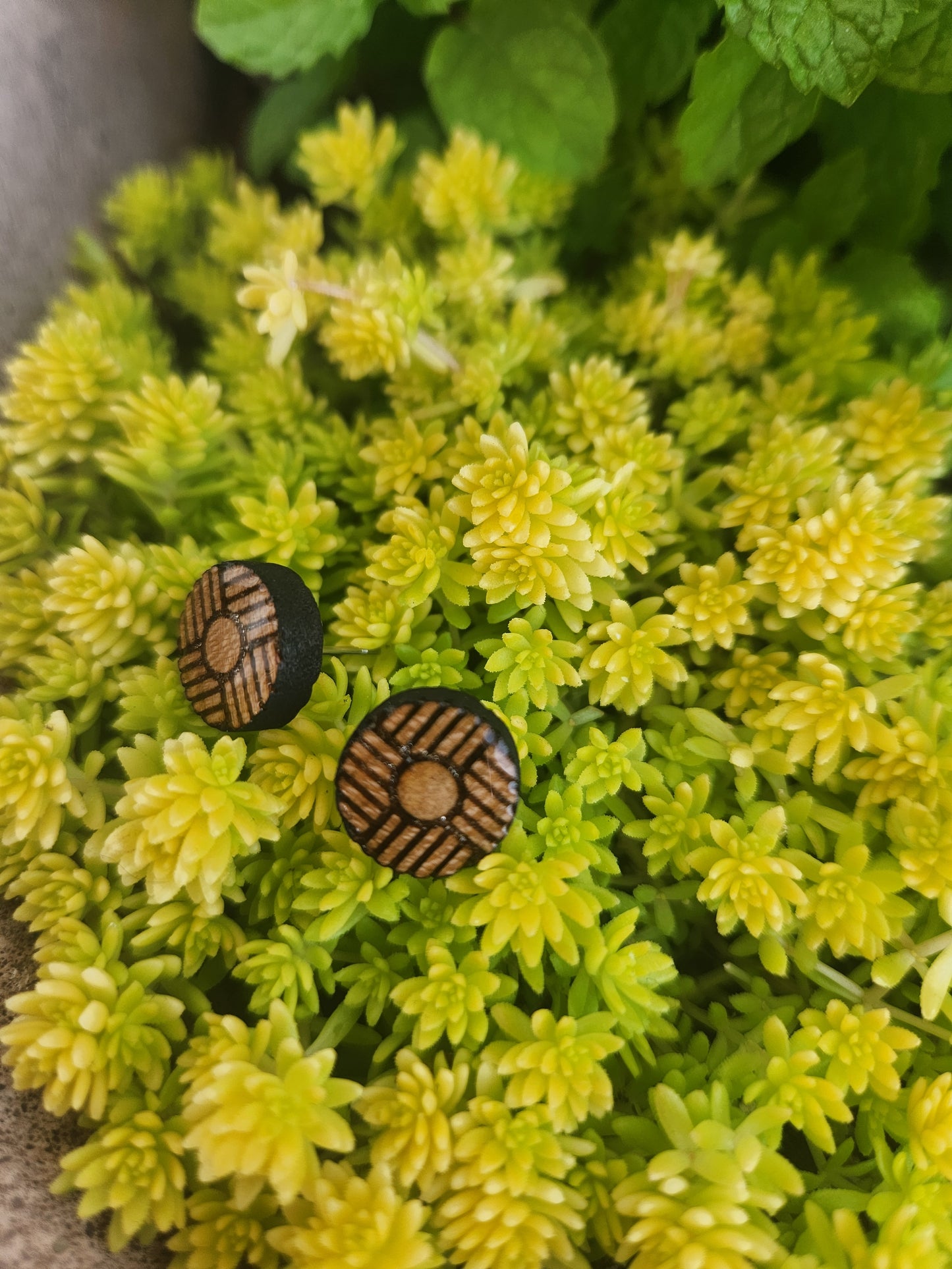 Pomona Wooden Post Style Earrings