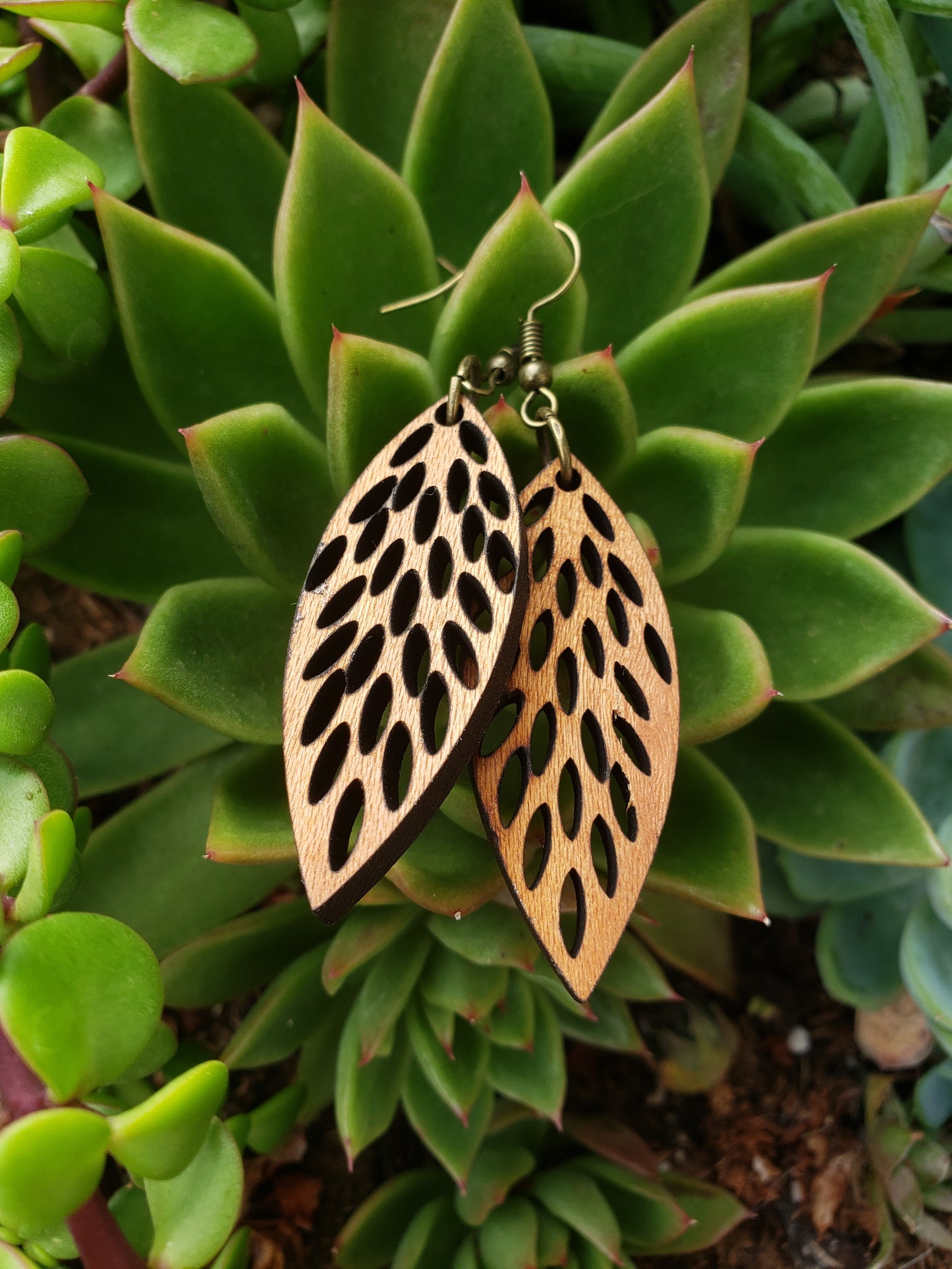 Graphic Leaf Wooden Earrings