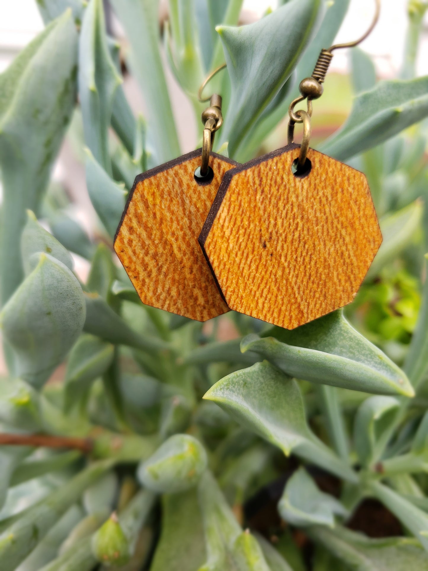 Octagon Pendant Wooden Earrings