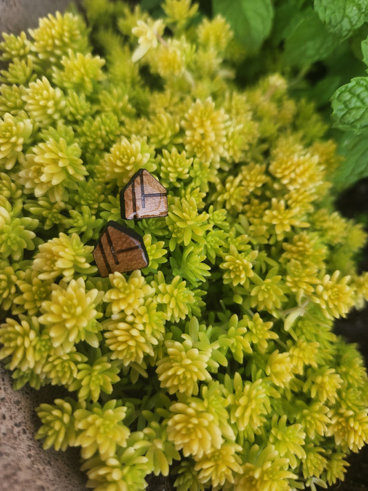 Ostara Wood Earrings, Post Style