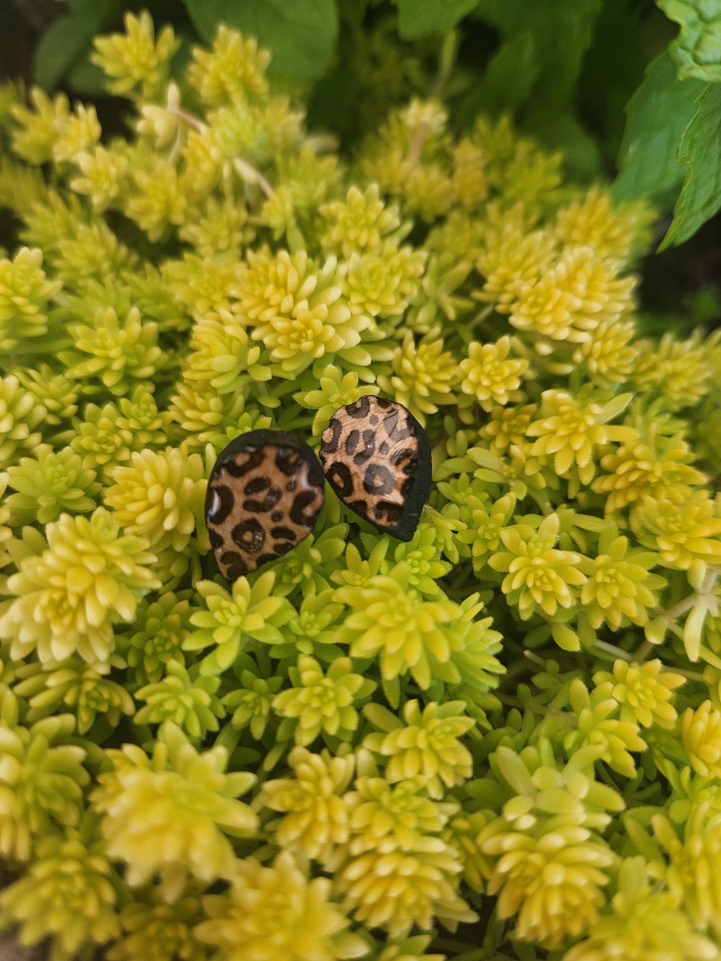 Savannah Wood Earrings, Post Style