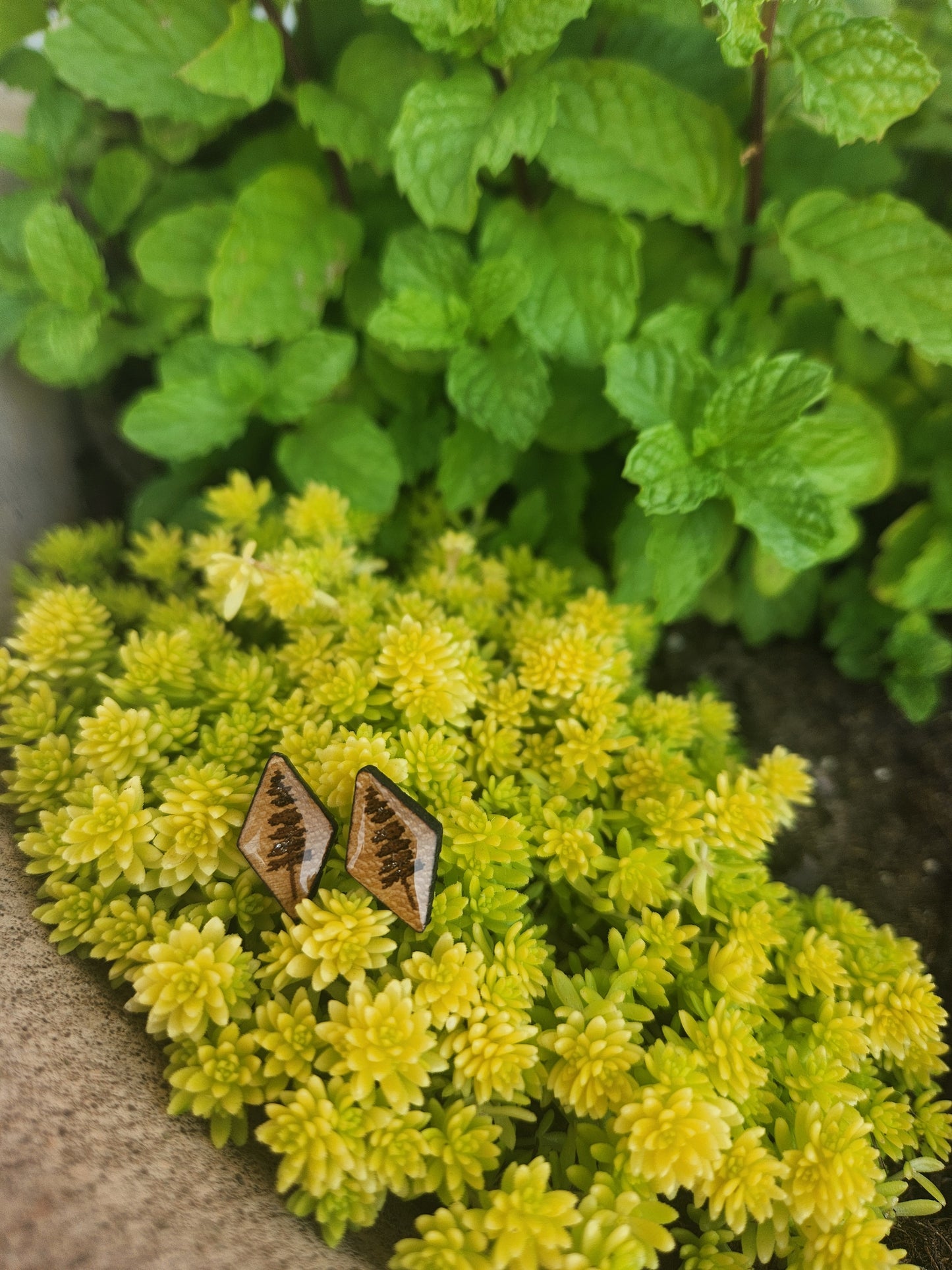 Fauna Wood Post Style Earrings